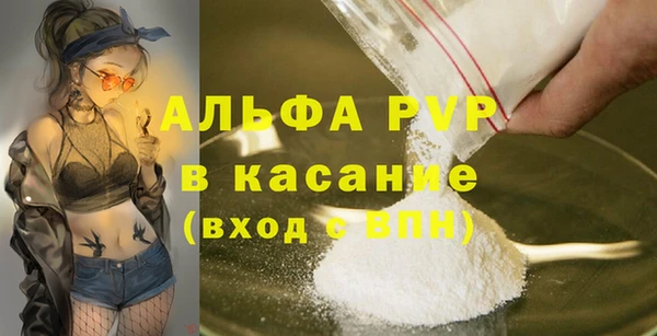 гашик Ельня