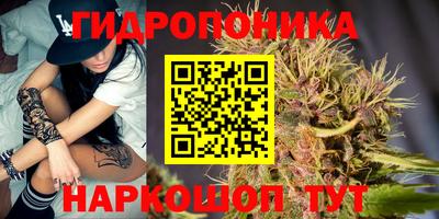 PSILOCYBIN Камышлов