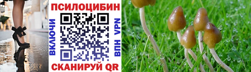 где найти наркотики Менделеевск гидра как войти Псилоцибиновые грибы мухоморы