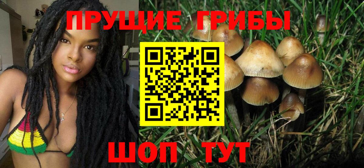 Галлюциногенные грибы мицелий Менделеевск
